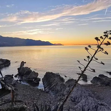 Clementina Sunrise